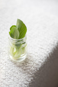 Close-up of drink on table