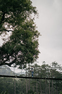 Man standing by tree on field against sky
