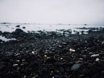 Surface level of pebble beach against clear sky