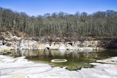 Plants growing on rocks by lake against sky