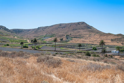 Scenic view of field against clear blue sky