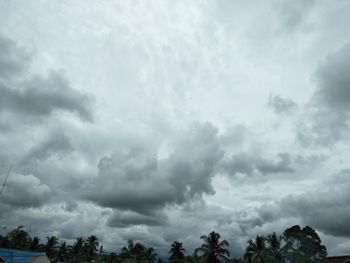 Low angle view of trees against cloudy sky