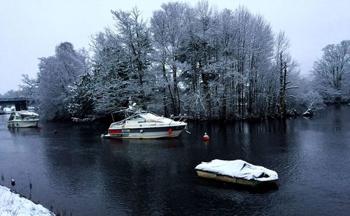 Calm lake with trees in background