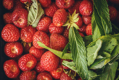 Close-up of strawberries