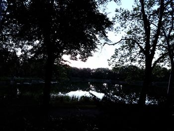 Silhouette trees by lake in forest against sky