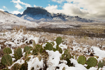 Scenic view of snowcapped mountains against sky