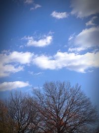 Low angle view of trees against sky