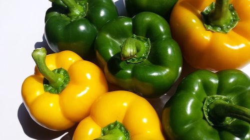 High angle view of yellow and green bell peppers on sunny day