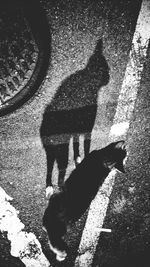High angle view of shadow on road