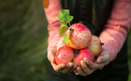 Close-up of hand holding strawberry