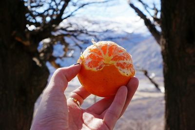 Cropped hand of woman holding orange fruit outdoors