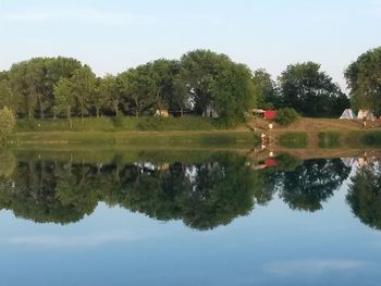 Reflection of trees in lake