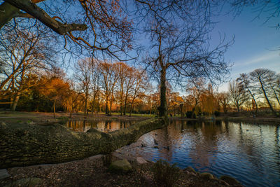Scenic view of lake against sky during autumn