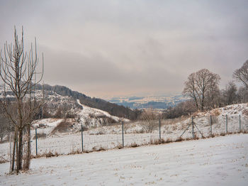 Bare trees on field against sky during winter