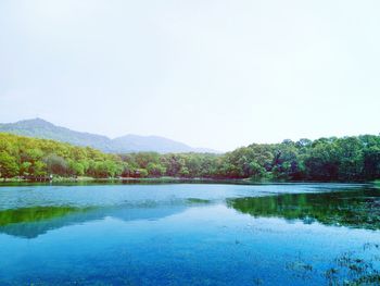 Scenic view of lake