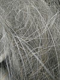 Full frame shot of white background