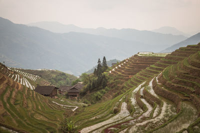 Scenic view of agricultural landscape against sky