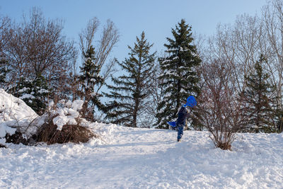 Children on the snow slide. fun in the park.