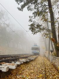 Railroad tracks by trees against sky during autumn