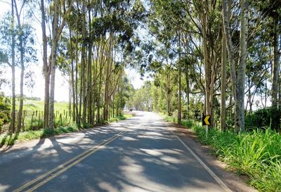 Road amidst trees against sky