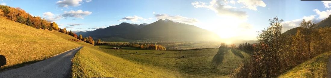 Panoramic view of trees against sky