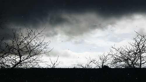 Silhouette bare trees on field against sky at dusk
