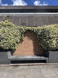 wall