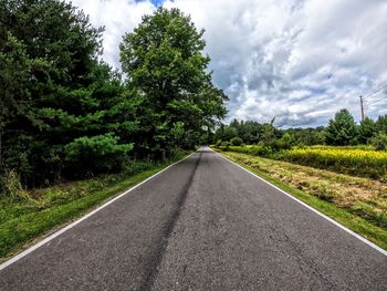 Surface level of road amidst trees against sky