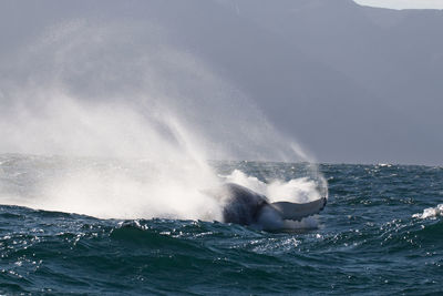 Waves splashing on sea against clear sky