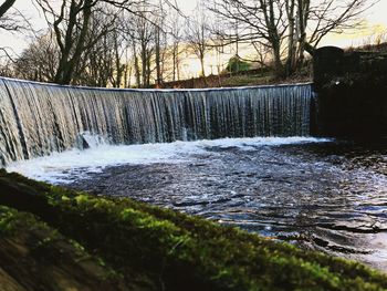 View of river flowing through bare tree