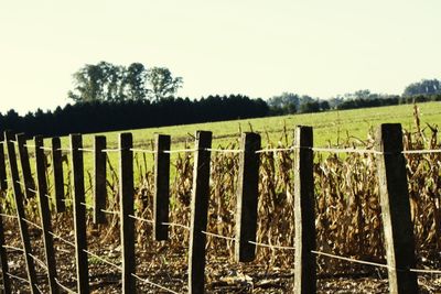 Wooden fence on field against clear sky