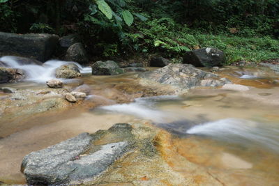 Stream flowing through rocks in forest