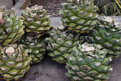 Close-up of vegetables in market