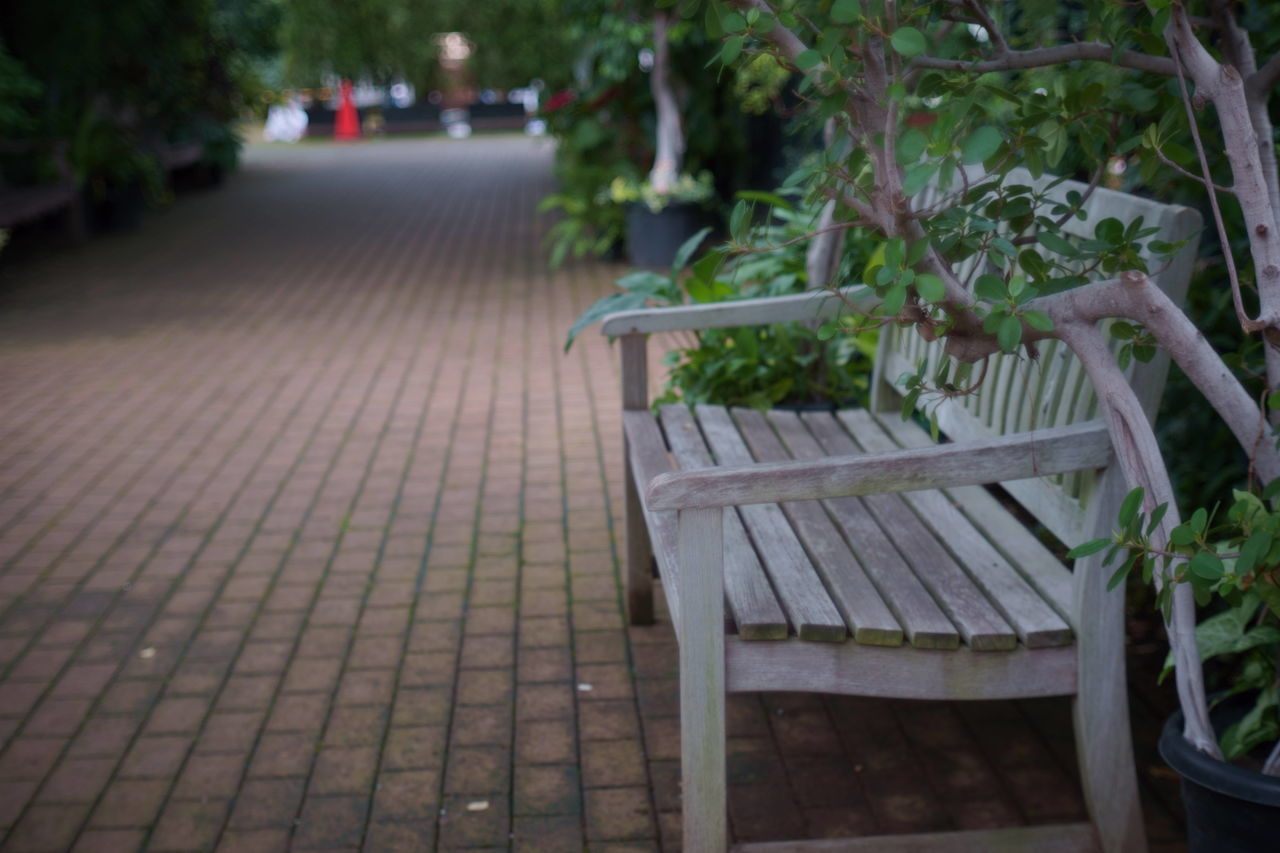 EMPTY BENCH ON FOOTPATH