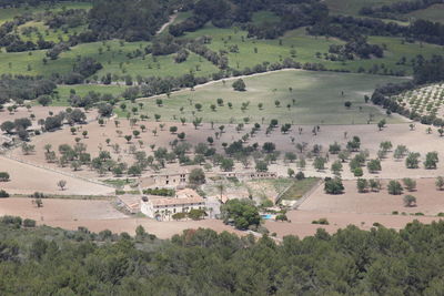 High angle view of agricultural field