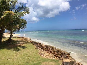 Scenic view of beach against sky