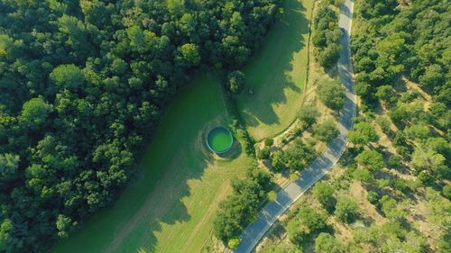 High angle view of trees on field