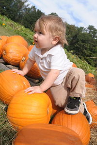 Boy on pumpkins at field