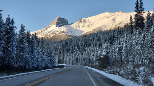 Road amidst trees and snowcapped mountains during winter