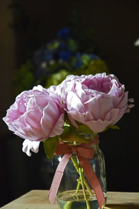 Close-up of pink rose