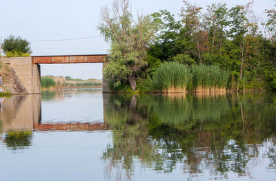 Reflection of trees in lake against sky