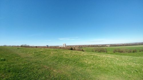 Scenic view of field against clear blue sky