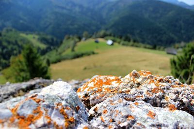 Close-up of rocks on mountain