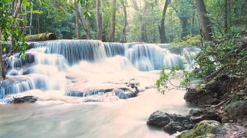Scenic view of waterfall in forest