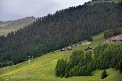 High angle view of trees on landscape against sky