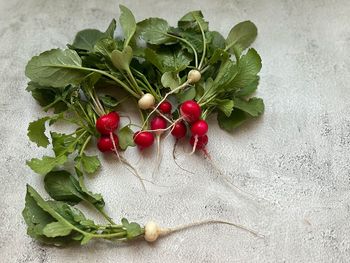 Close-up of tomatoes on table