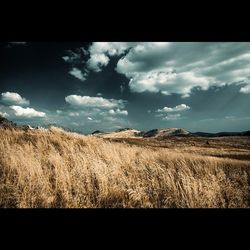 Scenic view of field against cloudy sky