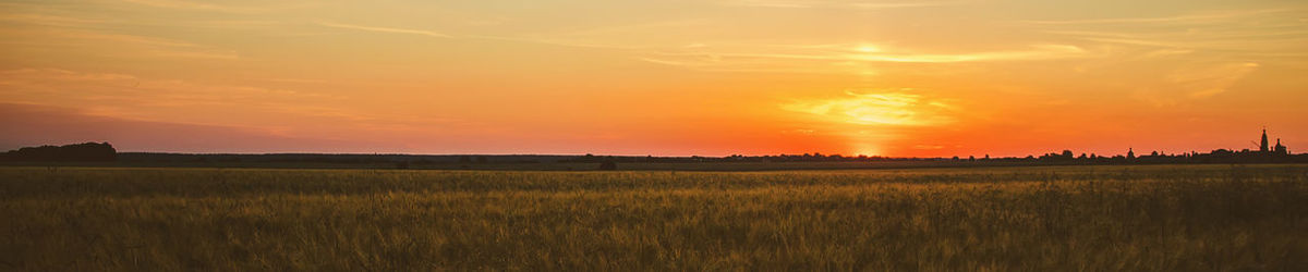 Scenic view of field against sky during sunset