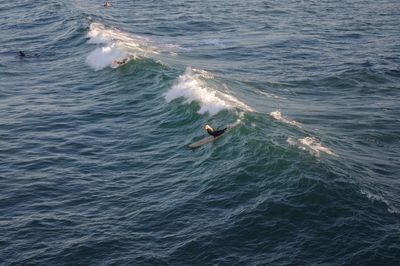 High angle view of man surfing in sea