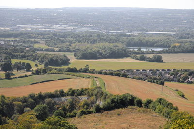 High angle view of agricultural field